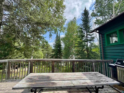Tiny photo for 152 Sag Lake Tr, Grand Marais, MN 55604 (MLS # 6126983)