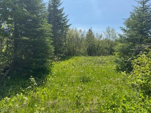 Tiny photo for 14 Tom Lake Rd, Hovland, MN 55606 (MLS # 6123264)
