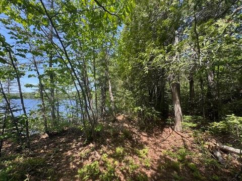 Tiny photo for 14 Tom Lake Rd, Hovland, MN 55606 (MLS # 6123264)