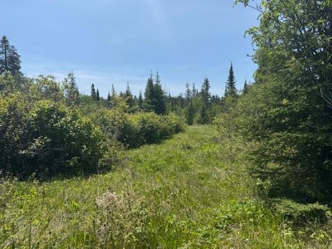 Tiny photo for 14 Tom Lake Rd, Hovland, MN 55606 (MLS # 6123264)