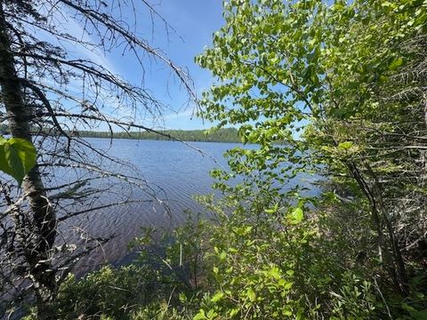 Tiny photo for 14 Tom Lake Rd, Hovland, MN 55606 (MLS # 6123264)
