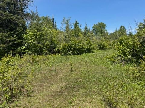 Tiny photo for 14 Tom Lake Rd, Hovland, MN 55606 (MLS # 6123264)