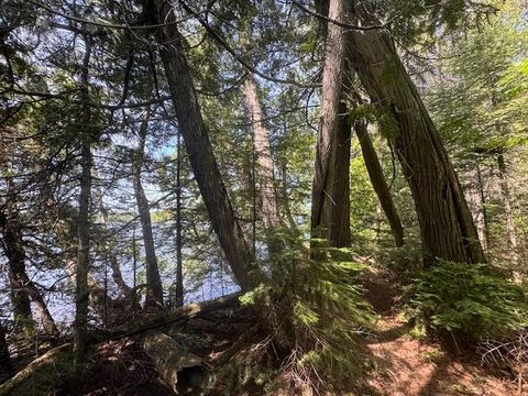 Tiny photo for 14 Tom Lake Rd, Hovland, MN 55606 (MLS # 6123264)