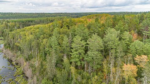 Tiny photo for TBD Moose Junction Tr, Ely, MN 55731 (MLS # 6122645)