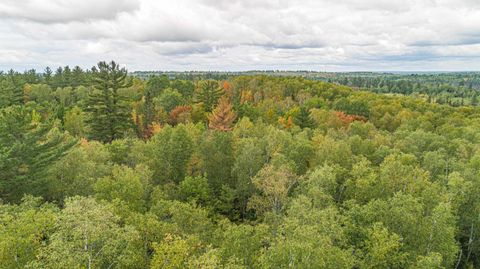 Tiny photo for TBD Moose Junction Tr, Ely, MN 55731 (MLS # 6122645)