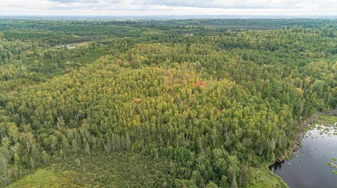 Tiny photo for TBD Moose Junction Tr, Ely, MN 55731 (MLS # 6122645)