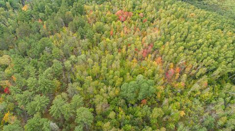 Tiny photo for TBD Moose Junction Tr, Ely, MN 55731 (MLS # 6122645)