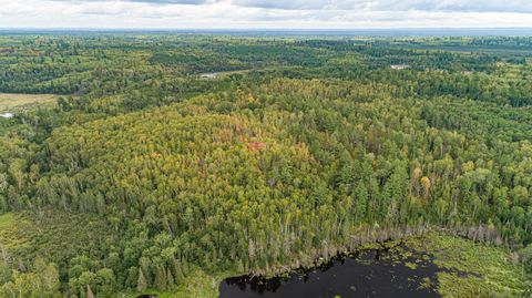 Tiny photo for TBD Moose Junction Tr, Ely, MN 55731 (MLS # 6122645)