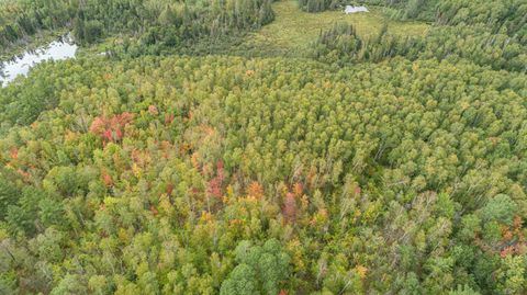 Tiny photo for TBD Moose Junction Tr, Ely, MN 55731 (MLS # 6122645)