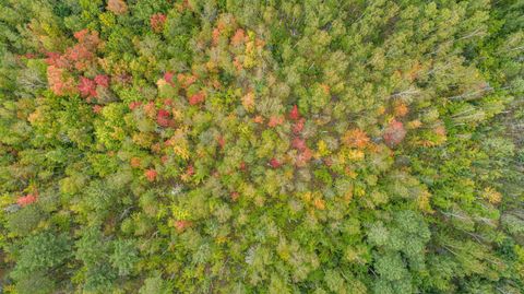 Tiny photo for TBD Moose Junction Tr, Ely, MN 55731 (MLS # 6122645)