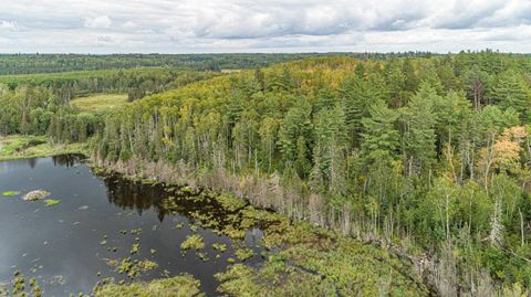 Tiny photo for TBD Moose Junction Tr, Ely, MN 55731 (MLS # 6122645)