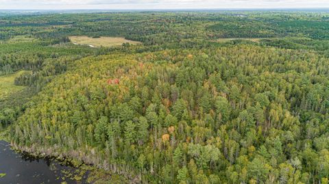 Tiny photo for TBD Moose Junction Tr, Ely, MN 55731 (MLS # 6122645)