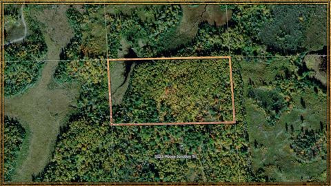 Tiny photo for TBD Moose Junction Tr, Ely, MN 55731 (MLS # 6122645)