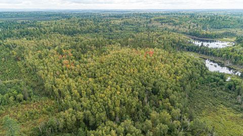 Tiny photo for TBD Moose Junction Tr, Ely, MN 55731 (MLS # 6122645)
