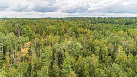 Tiny photo for TBD Moose Junction Tr, Ely, MN 55731 (MLS # 6122645)