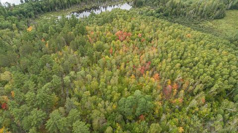 Tiny photo for TBD Moose Junction Tr, Ely, MN 55731 (MLS # 6122645)
