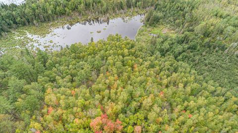 Tiny photo for TBD Moose Junction Tr, Ely, MN 55731 (MLS # 6122645)