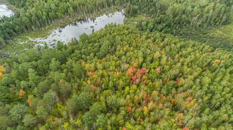 Tiny photo for TBD Moose Junction Tr, Ely, MN 55731 (MLS # 6122645)