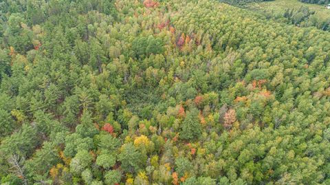 Tiny photo for TBD Moose Junction Tr, Ely, MN 55731 (MLS # 6122645)