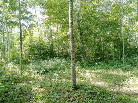 Tiny photo for 35 Wildwood Acres Tr, Tofte, MN 55615 (MLS # 6127494)