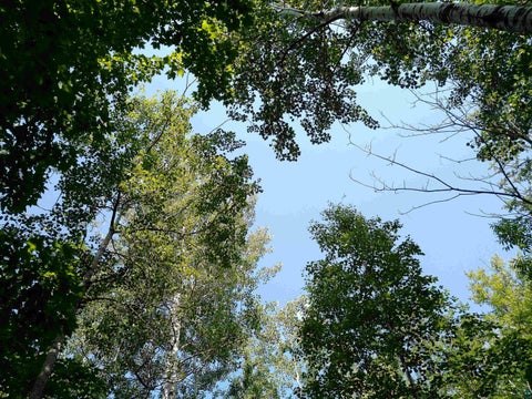 Tiny photo for 35 Wildwood Acres Tr, Tofte, MN 55615 (MLS # 6127494)