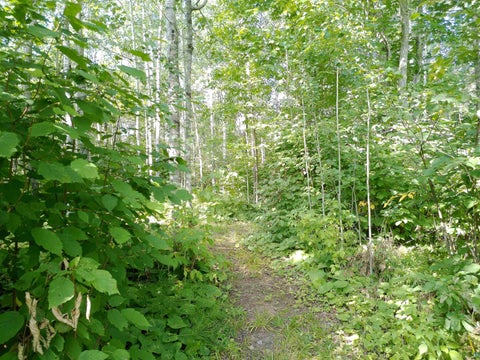 Tiny photo for 35 Wildwood Acres Tr, Tofte, MN 55615 (MLS # 6127494)