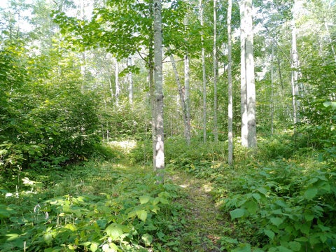 Tiny photo for 35 Wildwood Acres Tr, Tofte, MN 55615 (MLS # 6127494)