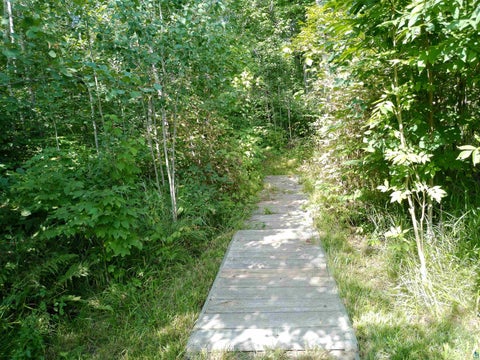 Tiny photo for 35 Wildwood Acres Tr, Tofte, MN 55615 (MLS # 6127494)