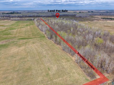 Tiny photo for XXX Brown Rd, Kettle River, MN 55757 (MLS # 6125281)