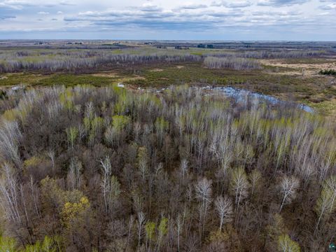 Tiny photo for XXX Brown Rd, Kettle River, MN 55757 (MLS # 6125281)