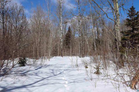 Photo of 7 Caspers Hill Rd, Grand Marais, MN 55604 (MLS # 6124301)