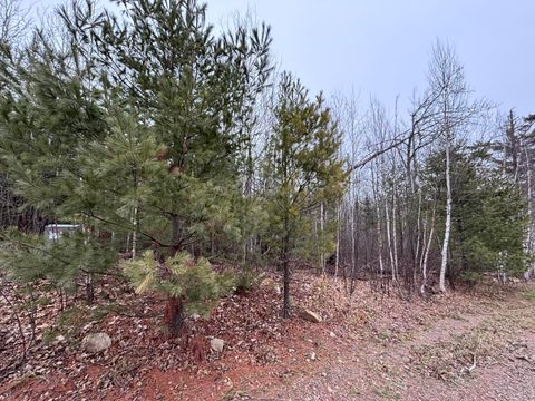 Tiny photo for XXD Pine Peak Rd, Lutsen, MN 55612 (MLS # 6123050)