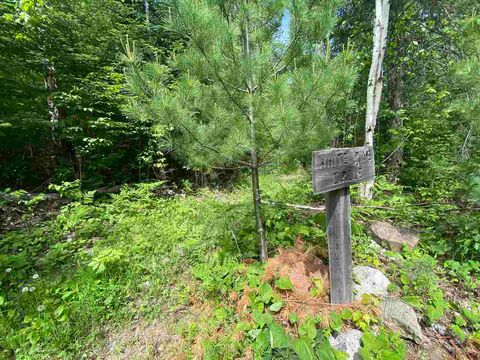 Tiny photo for XXD Pine Peak Rd, Lutsen, MN 55612 (MLS # 6123050)