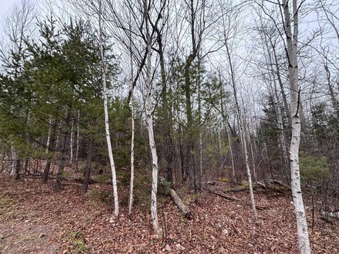 Tiny photo for XXD Pine Peak Rd, Lutsen, MN 55612 (MLS # 6123050)