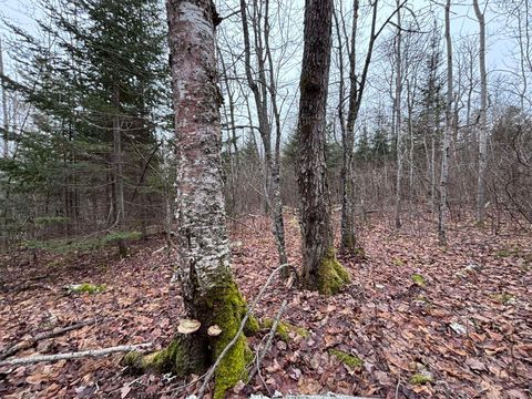 Tiny photo for XXD Pine Peak Rd, Lutsen, MN 55612 (MLS # 6123050)