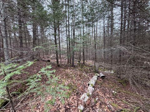 Tiny photo for XXD Pine Peak Rd, Lutsen, MN 55612 (MLS # 6123050)