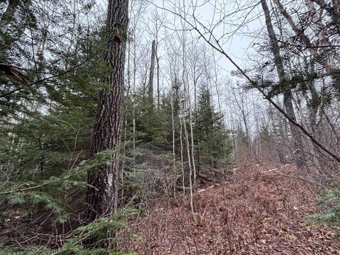 Tiny photo for XXD Pine Peak Rd, Lutsen, MN 55612 (MLS # 6123050)
