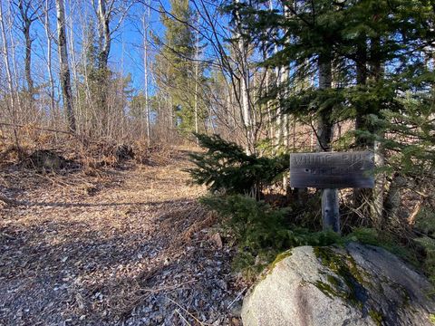 Tiny photo for XXD Pine Peak Rd, Lutsen, MN 55612 (MLS # 6123050)