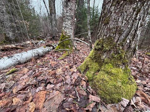 Tiny photo for XXD Pine Peak Rd, Lutsen, MN 55612 (MLS # 6123050)