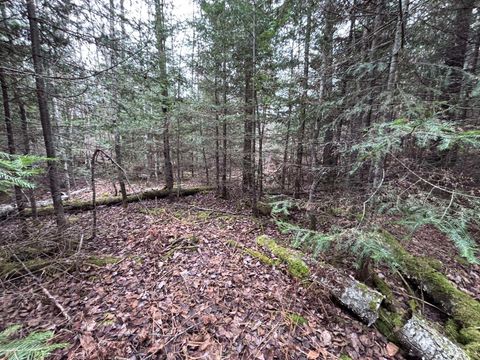 Tiny photo for XXD Pine Peak Rd, Lutsen, MN 55612 (MLS # 6123050)