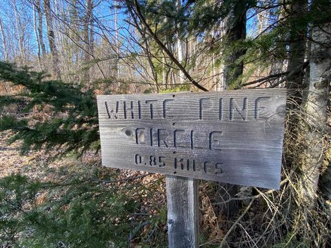 Tiny photo for XXD Pine Peak Rd, Lutsen, MN 55612 (MLS # 6123050)