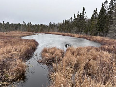 Tiny photo for XXD Pine Peak Rd, Lutsen, MN 55612 (MLS # 6123050)