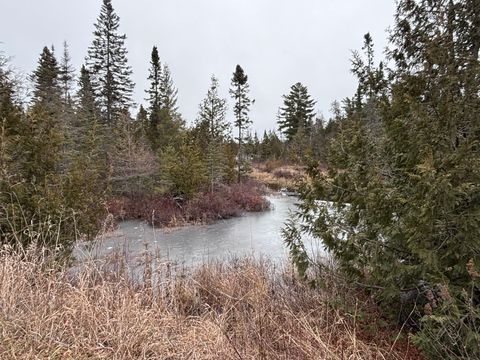 Tiny photo for XXD Pine Peak Rd, Lutsen, MN 55612 (MLS # 6123050)