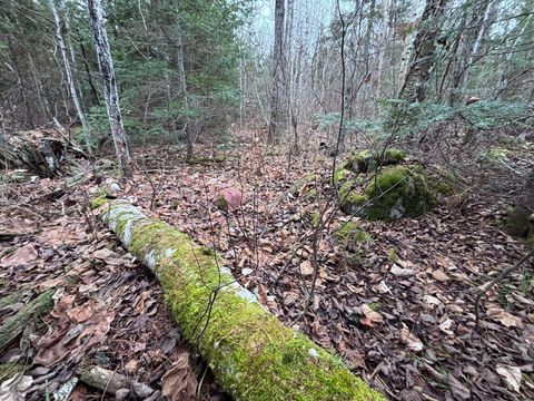 Tiny photo for XXD Pine Peak Rd, Lutsen, MN 55612 (MLS # 6123050)