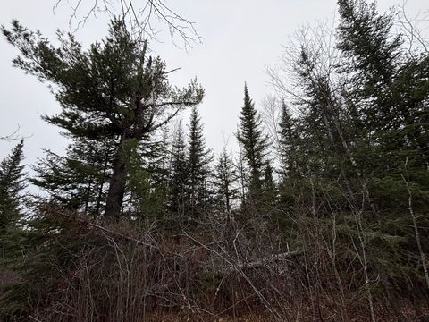 Tiny photo for XXD Pine Peak Rd, Lutsen, MN 55612 (MLS # 6123050)