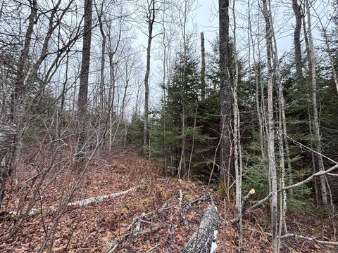 Tiny photo for XXD Pine Peak Rd, Lutsen, MN 55612 (MLS # 6123050)