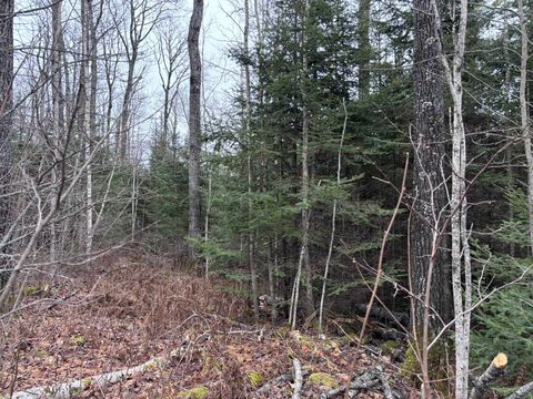 Tiny photo for XXD Pine Peak Rd, Lutsen, MN 55612 (MLS # 6123050)