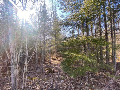 Tiny photo for XXD Pine Peak Rd, Lutsen, MN 55612 (MLS # 6123050)