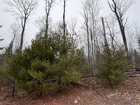 Tiny photo for XXD Pine Peak Rd, Lutsen, MN 55612 (MLS # 6123050)