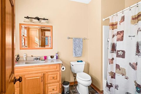 Tiny photo for 4087 Loggers Tr, Two Harbors, MN 55616 (MLS # 6125551)